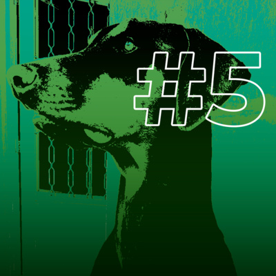 #5 Ritual da caça moderna episode artwork