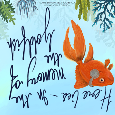In the Memory of the Goldfish