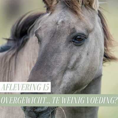 Paard Optimaal Podcast
