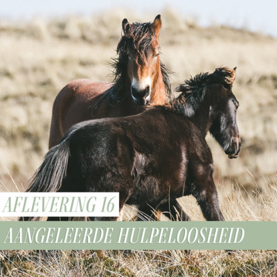Paard Optimaal Podcast