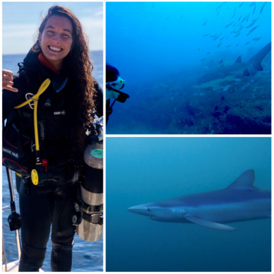 Neurobiología y tiburones