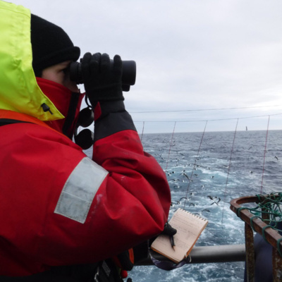 La figura del Observador Científico Marino