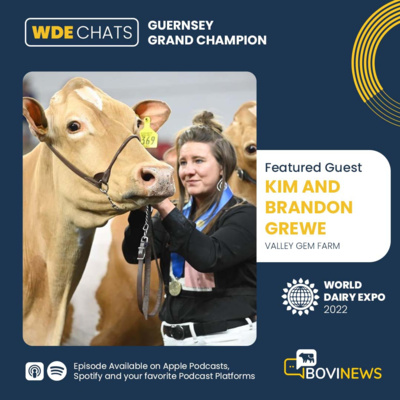 BoviNews WDE 2022 Chats: Guernsey Grand Champion