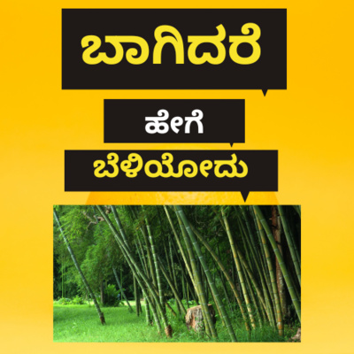 ಬಾಗಿದರೆ ಬೆಳಿತೀರ. If you bend, you will grow.