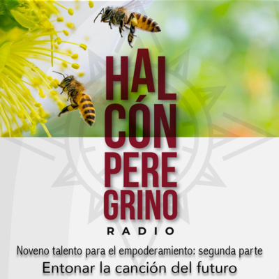 Halcón peregrino radio. Lanzamiento