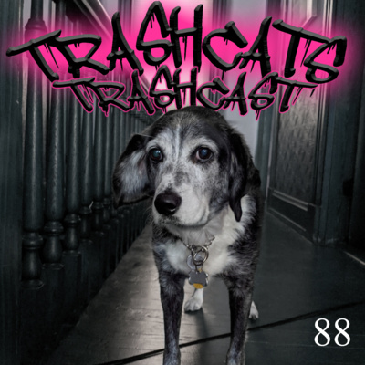 TrashCats TrashCast