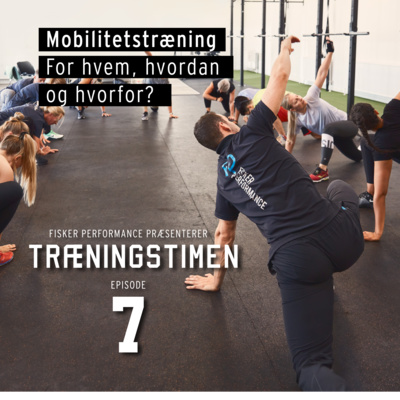 Træningstimen