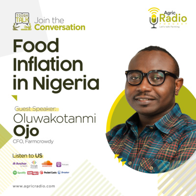 Tough Talk: Food Inflation in Nigeria with Mr. Oluwakotanmi Ojo