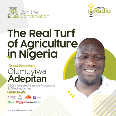 Tough Talk : The Real Turf of Agriculture in Nigeria with Mr Olumuyiwa Adepitan