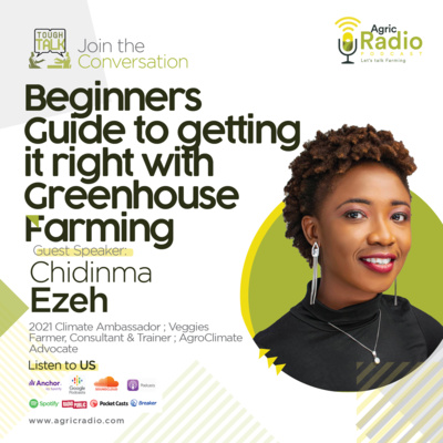 Tough Talk : Beginners Guide to getting it right with Greenhouse Farming with Chidinma Ezeh