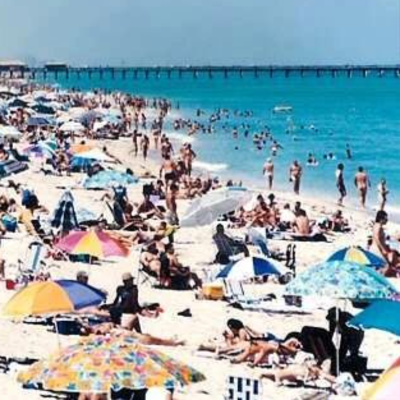 Frank The Lunatic ® Rants ©