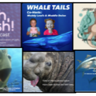 Fall 2022 "Tails of the Marine Conservation" Oceans in the Anthropocene