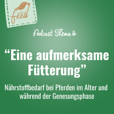 Die richtige Fütterung rund um Pferd und Hund
