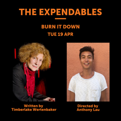 Episode 28 - Timberlake Wertenbaker and Anthony Lau - Burn It Down