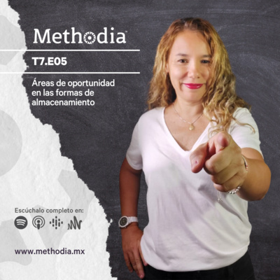 T7.E05 Áreas de oportunidad en las formas de almacenamiento