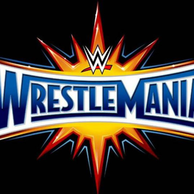 Our Experience at Wrestlemania 33 (Wrestlemania Newspaper Diaries)