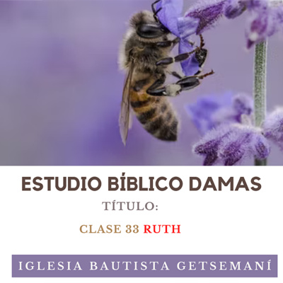 (33) Damas Getsemaní | Mujeres de La Biblia | RUTH | 6 MAR 2023 episode artwork