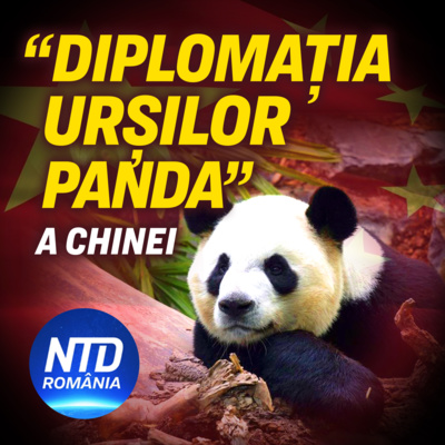 “Diplomația urșilor panda” a Chinei și-a pierdut oare aplombul? | NTD România