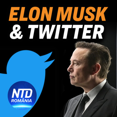 Ce schimbări ar putea aduce Elon Musk aplicației Twitter? | NTD România