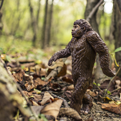 Bigfoot, Nessi und Co. Der Kryptozoologe kommt