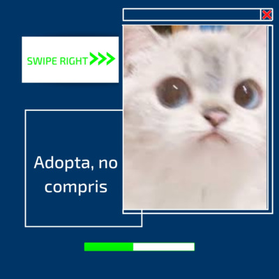 2.3. Adopta, no compris!