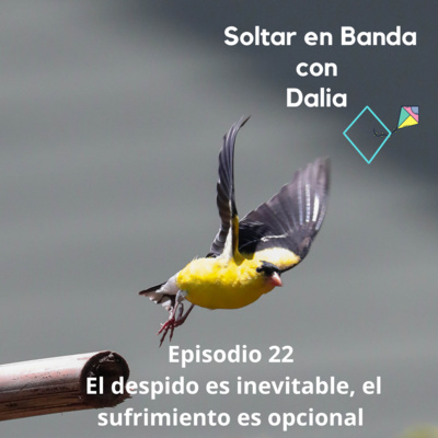 Soltar en Banda: Emprender desde la Paz Mental
