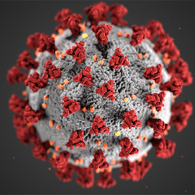 In this episode we talk about the pandemic potential lockdowns and shelter in place.