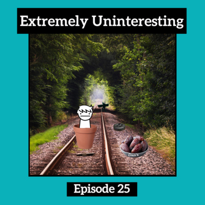 #25: Flower Pots and Wizards episode artwork