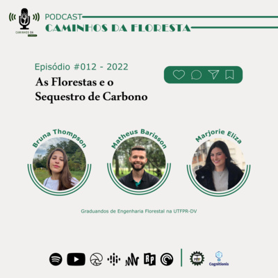 As Florestas e o Sequestro de Carbono