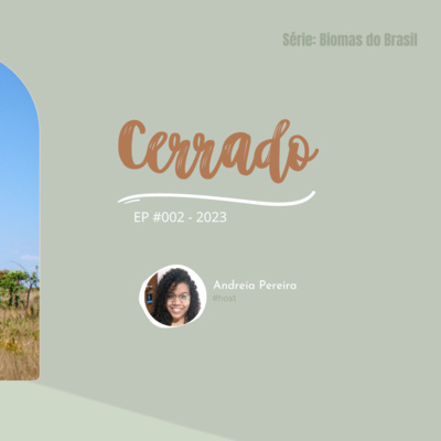 Caminhos da Floresta
