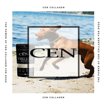 Episode 4 | CEN Collagen Health Benefits For Dogs