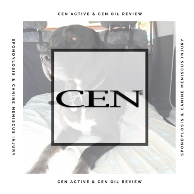 Episode 3 | CEN Active & CEN Oil Testimonial - Spondylosis & Canine Meniscus Injury