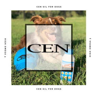 Episode 1 | CEN Oil Health Benefits For Dogs - High Omega 3