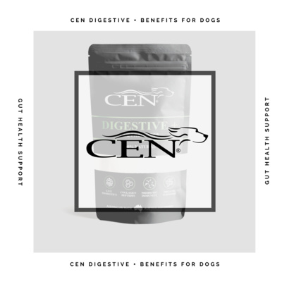 Episode 9 | CEN Digestive + Benefits For Dogs - Gut Health Support