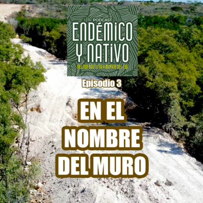 3. En el nombre del muro