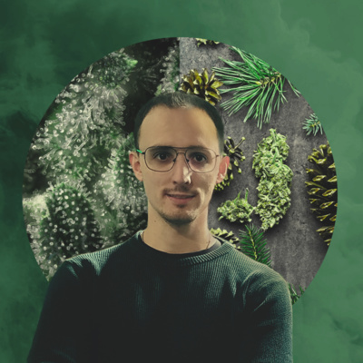 Royal Queen Seeds - Cannabis podcast