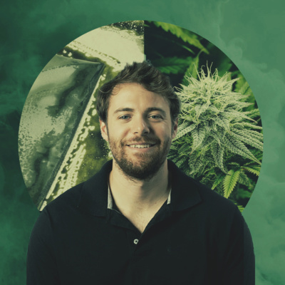 Buzz 8: Understanding Solventless Extracts With Eric Vlosky - RQS Podcast