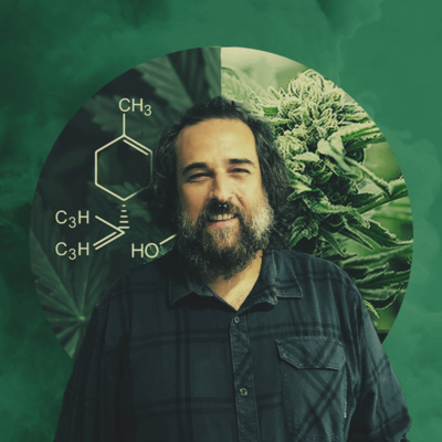 Royal Queen Seeds - Cannabis podcast