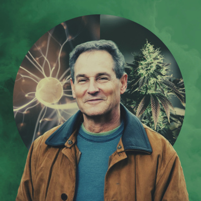 Buzz 13: Martin A. Lee: How Cannabis Affects the Brain - RQS Podcast 