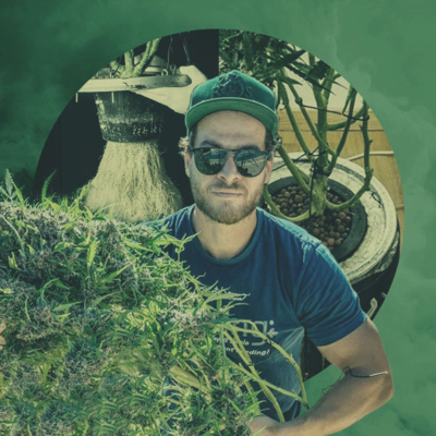 Buzz 19: Sitting Down With DWC Specialist Sebastian - RQS Podcast