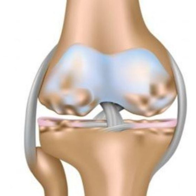 Charla entre médicos