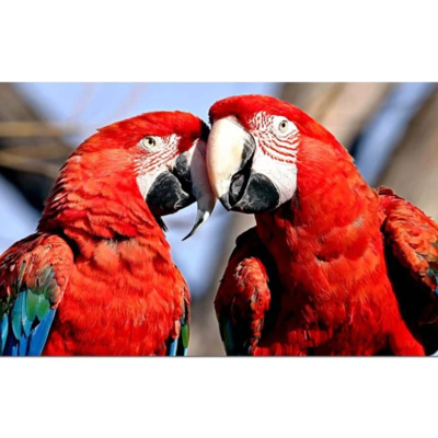 de Praatvogels (29 januari 2023)