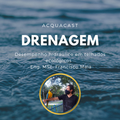 DRENAGEM ECOLÓGICA
