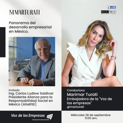 Pláticas con la Turati: Panorama del desarrollo empresarial en México. episode artwork