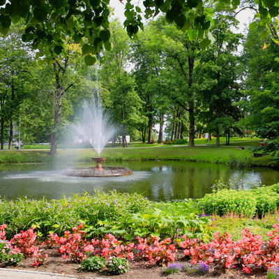 Beautiful Fountain Inside of a Park Ambiance (Asmr Flowing Water & Chirping Birds)