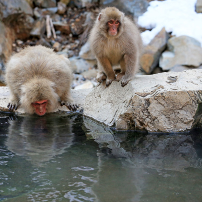 Soaking in a Japanese Hot Spring (Asmr Water Sounds)