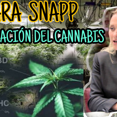 HABLAMOS DE CANNABIS CON ZARA SNAPP, REGULACIÓN DE LA MARIHUANA EN MÉXICO, HA ESTADO EN ADN40
