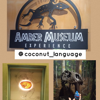 Coconut Language