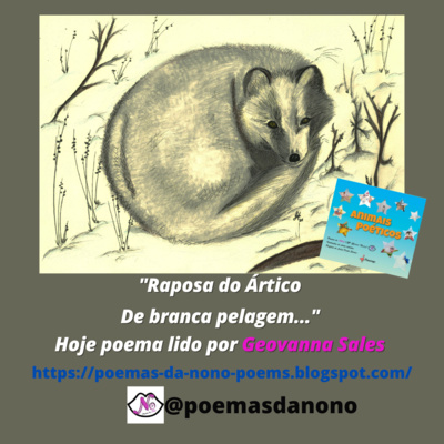 Poesias da Nonô - Nonô Poetry