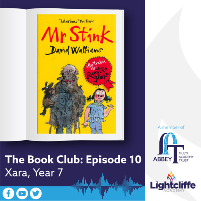 Mr Stink by David Walliams